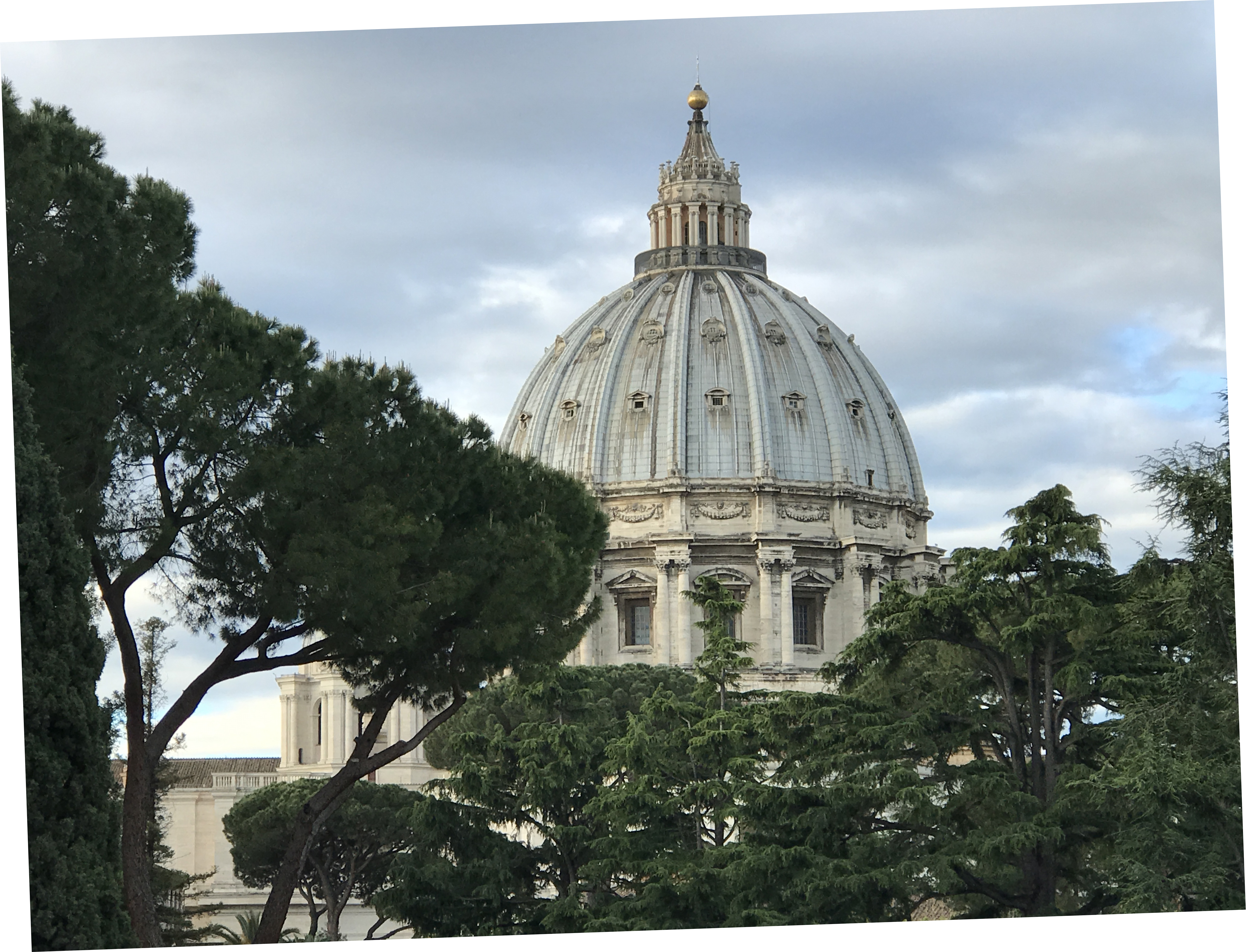 Dome of St. Peter's Basilica in Rome
